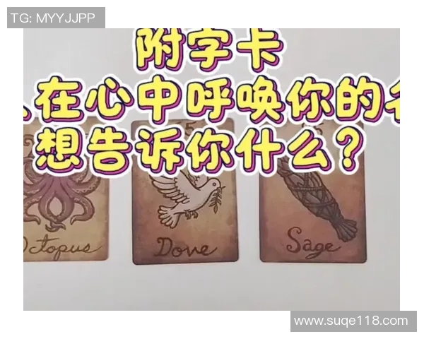 细数那些名字里带卡字的足球巨星及他们的绿茵传奇故事 细数那些名字里带卡字的足球巨星及他们的绿茵传奇故事