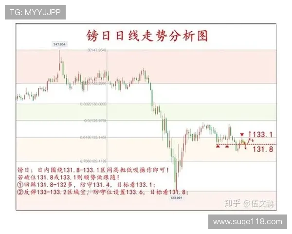 上海排球队的快速进攻与防守策略分析探讨